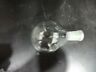 08754 Buchi Evaporating Flask Ml Glass Lot Of Units 08754 Buchi Evaporating Flask Ml Glass Lot Of Units
