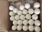 10350287 Whatman Standard Cellulose Extraction