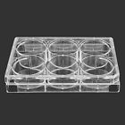 33364 Bipee Pack Of 6 708191706045 33364 Bipee Pack Of 6 708191706045