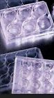 B0090sf3hs 353093 Falcon Bd Translucent Polyethylene B0090sf3hs 353093 Falcon Bd Translucent Polyethylene