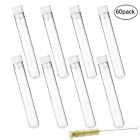 43217-172634 Ageomet Usa Plastic Sample Test Tube With Lid Brush