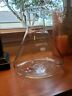 4423-2xl 4423-xl Pyrex Flask