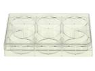 703001 Nest Scientific Well Cell Culture Plate Flat Bottom Qty New 703001 Nest Scientific Well Cell Culture Plate Flat Bottom Qty New