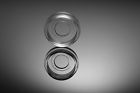 801001 Nest Biotechnology Cell Culture 4913263157885