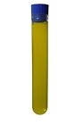 8592 Stockwell Scientific Polypropylene Culture Tubes Plastic Pack Of