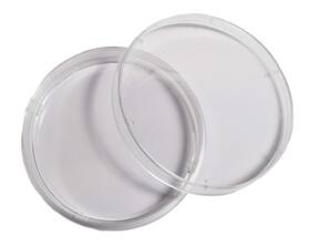 Advangene 687929556353 100 Mm Treated Cell Culture Disc Polystyrene 10/packs 120 Discs/case
