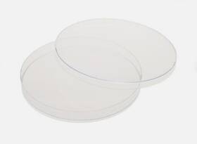 229656 Celltreat 150mm X 15mm Petri Dish Open Case 4 Bags 10 Each Sterile #229656 229656 Celltreat 150mm X 15mm Petri Dish Open Case 4 Bags 10 Each Sterile #229656