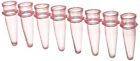 Cls-3610-01r Chemglass Polypropylene 0.2ml Amplitube Cls-3610-01r Chemglass Polypropylene 0.2ml Amplitube