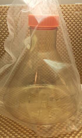Corning 431252 3l 3000ml Erlenmeyer Flask./0.2um Vent Cap 1 Factory Sealed