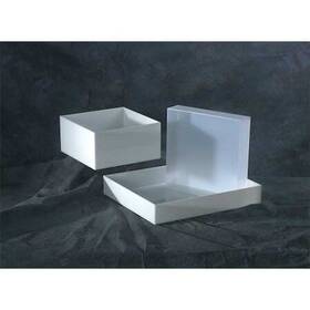 107324 Dynalon Laboratory Tray 4x18x18 Polypropylene