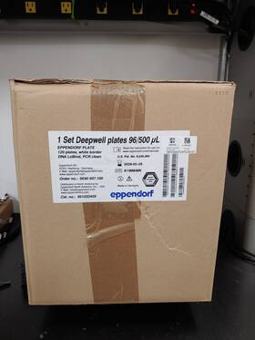 951032409 Eppendorf 120 Box 1 Set Deepwell Plates 96 500 L Lobind White Border