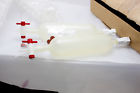 F19955-0000 Bel-art Scienceware Polypropylene Gas