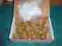 Fd002x65 Pall Sample Reservoir Cap Jumbosep Pk12 205964