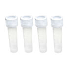 Fi-ttlg Fun Science Self Standing 852353001421