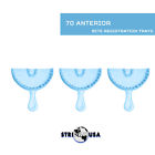 House Anterior Bite Registration Trays Disposable Triple Tray