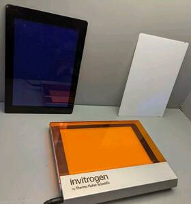 Lb0100 Invitrogen Dual Led Blue/white Light Transilluminator Catalog #