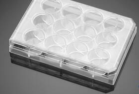 Tcp011012 Jetbio 12-well Cell Culture Plate Treated Clear Flat Bottom With Lid Sterile 40/pack