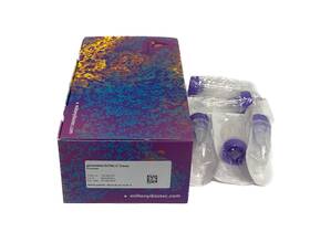130-093-237 Miltenyi Biotec 30 Gentlemacs Dissociation C Tubes Sterile