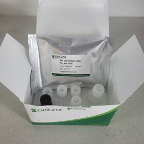 Tr30038 Origene One-wash Lentivirus Titer Kit P24 Elisa Missing 1 Vial