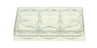 100-cs Rp06a Nest Cell Culture Dish Well Tc Treated
