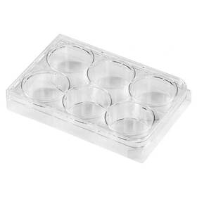 Scienfocus Lab 714651781460 6 Well Culture Plate - With Lid Flat Bottom Individual