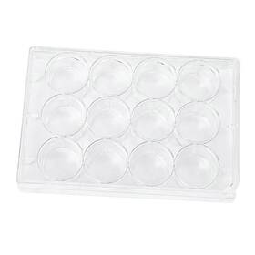 Scienfocus Lab 714651781477 12 Well Culture Plate - With Lid Flat Bottom Indivi