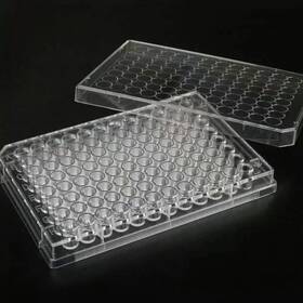 Scienfocus Lab 714651781484 96 Well Culture Plate - With Lid Flat Bottom In
