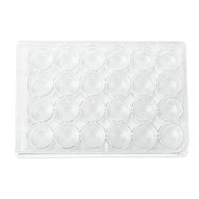 Cp-6w Scienfocus Lab Culture Plate 24 Well With Lid Flat Bottom Laboratory Grade Pack Of 10