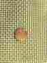 Screen12 Stainless Mesh Works Steel Woven Wire 304 8 028 Cloth X12