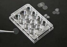 20012 Spl Life Sciences Coverslips Flux Film 12x0.11mm Sterile Fits Into 24 Well Plate 200/case