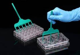 201924 Spl Life Sciences Splscar Scratcher 24 Well Tip Width 0.50 Mm Sterile Case Of 20 201924 Spl Life Sciences Splscar Scratcher 24 Well Tip Width 0.50 Mm Sterile Case Of 20