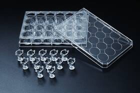 37024 Spl Life Sciences Inserts Hanging Ps Pet Membrane Transparent Diameter 6.5 Mm 0.4 M Por 37024 Spl Life Sciences Inserts Hanging Ps Pet Membrane Transparent Diameter 6.5 Mm 0.4 M Por