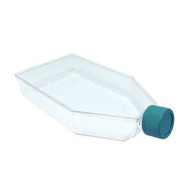 72175 Spl Life Sciences Cell Culture Flask 175 Cm2 T175 Plug Cap Treatment Sterile 40/case 72175 Spl Life Sciences Cell Culture Flask 175 Cm2 T175 Plug Cap Treatment Sterile 40/case