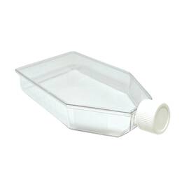 73175 Spl Life Sciences Cell Culture Flask 175 Cm2 T175 Plug Cap Non-treated Sterile 40/case 73175 Spl Life Sciences Cell Culture Flask 175 Cm2 T175 Plug Cap Non-treated Sterile 40/case