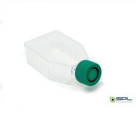 Spl70125 Spl Life Sciences Cell Culture Flask 25 Cm T25 Plug Cap Treated Sterile 200/case Spl70125 Spl Life Sciences Cell Culture Flask 25 Cm T25 Plug Cap Treated Sterile 200/case