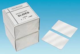 260439 Ted Pella Large Plain Economy Glass Slides Beveled Corners 3 Inch X2 Qty 144
