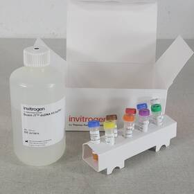 Q33120 Thermo Fisher Scientific Invitrogen Quant-it Dsdna Assay Kit High Sensitivity Q33120 Thermo Fisher Scientific Invitrogen Quant-it Dsdna Assay Kit High Sensitivity