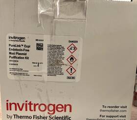 A31217 Thermo Scientific Purelink Expi Endotoxin-free Maxi Plasmid Purification Kit Expired 2/28/23
