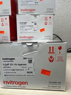 G401001 Thermo Scientific Invitrogen E-gel Ex 1% Agarose Gels 10 Packs Exp 07-2025