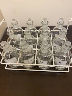 227497-05 Wheaton Glass Bod Bottle 300ml Withstopper Set Of 12 With Rack Good Condition
