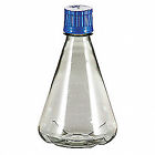 Wpfbc2000s Wheaton Erlenmeyer Flask
