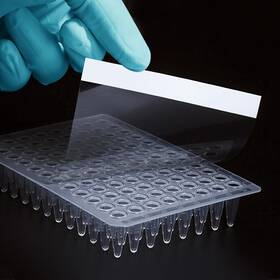 Us-yt-ay-213033 Yuticat 100 Sheets Pcr Plate Sealing Film For 96-well Plates 130x80mm - High Clarit