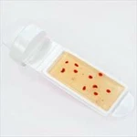 Dipslides, Bacteria Item # 56B010110 Made By Lovibond. Fixed Price $90.00.