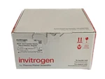 (10) Integra Iblot Nitrocellulose Gel Transfer Stacks Regular 13.5X8CM IB301001. Fixed Price $199.99.