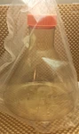 Corning 3L(3000ML) Erlenmeyer FLASK./0.2UM Vent Cap (1 Factory Sealed) 431252. Fixed Price $29.99.