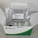 Origene TR30038 One-wash Lentivirus Titer Kit P24 Elisa 96 Assays. Fixed Price $301.99.