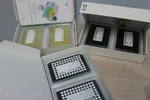 Pk Wallac B&w Isoplate, Yellow AAAND-0001S Black 384-WELL 1508-001S. Fixed Price $95.00.