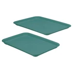 Patikil 12X9 Fast Food Tray, Pack Plastic Reusable Multi-purpose Rectangle. Fixed Price $28.37.