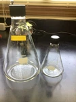 Lot Of Wheaton 1000ML Kimax 250ML Beakers With Lids. Fixed Price $23.99.