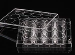 12 Well Cell Culture Plate, Flat, Non-treated, Sterile 1/PK, 50/CS. Fixed Price $91.16.